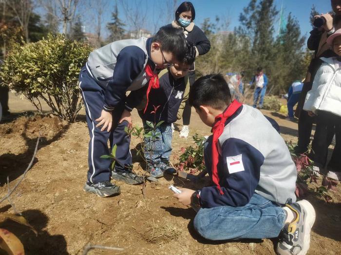 环保向阳生 植绿正当时——松岭路小学四年级二班举办系列活动迎接植树节