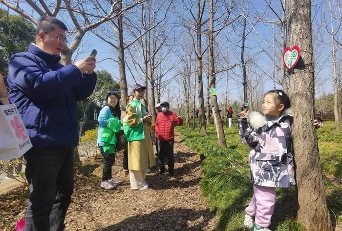 太夸张，在上海这也要抢！一上网便被“秒杀”，孩子为此练摊...最近公园“一树难求”