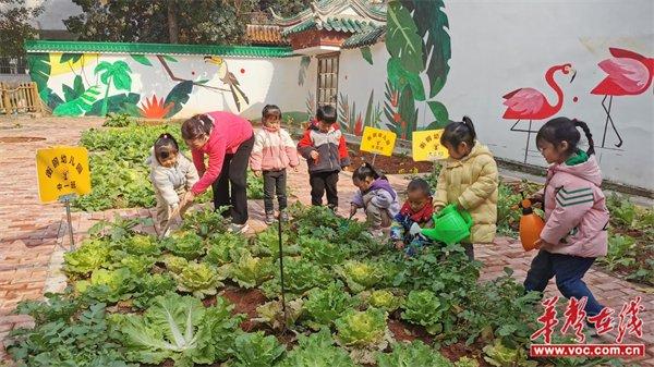 童趣植树节·绿色成长路 衡钢幼儿园开展植树节主题活动