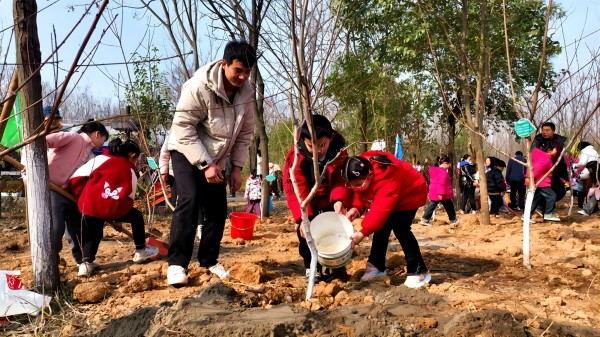 丹江口市徐家沟小学：植一棵树 造一片林 护一江水