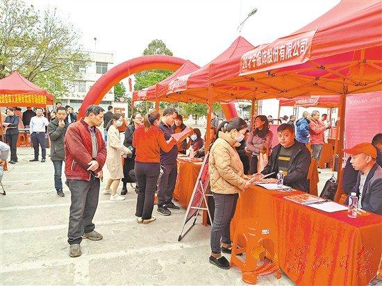 就业“乘春风” 服务“开门红”——福建省莆田市荔城区人社局打好“组合拳”力促一季度开好局