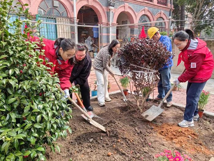 植树种绿焕新家园 虹口历史文化风貌小区今种下百余树苗