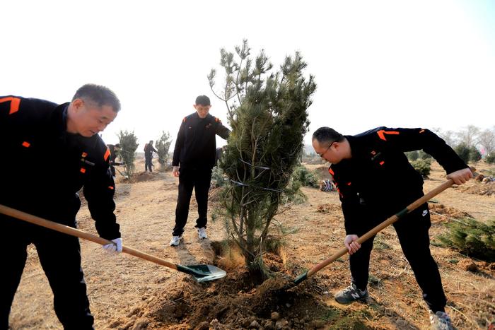 济南热力集团组织党员和团员青年开展义务植树活动