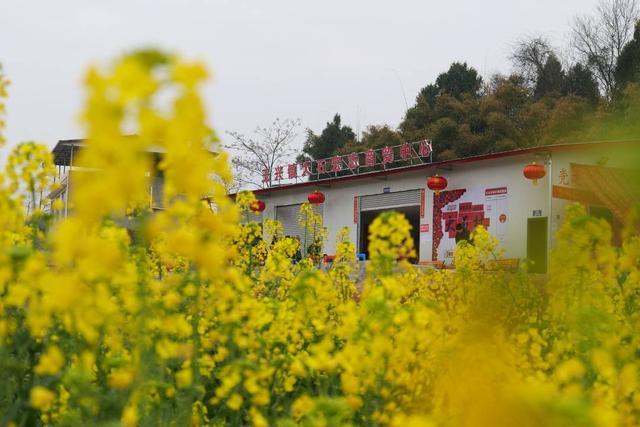 全省首个！四川德阳中江县残疾人集体经济超市正式开业