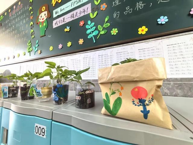 带着自制环保花盆去上学！松江这所学校推出植物领养计划