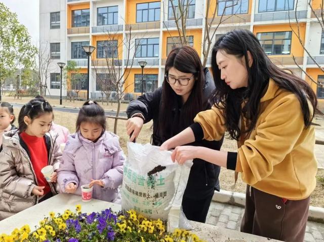 带着自制环保花盆去上学！松江这所学校推出植物领养计划