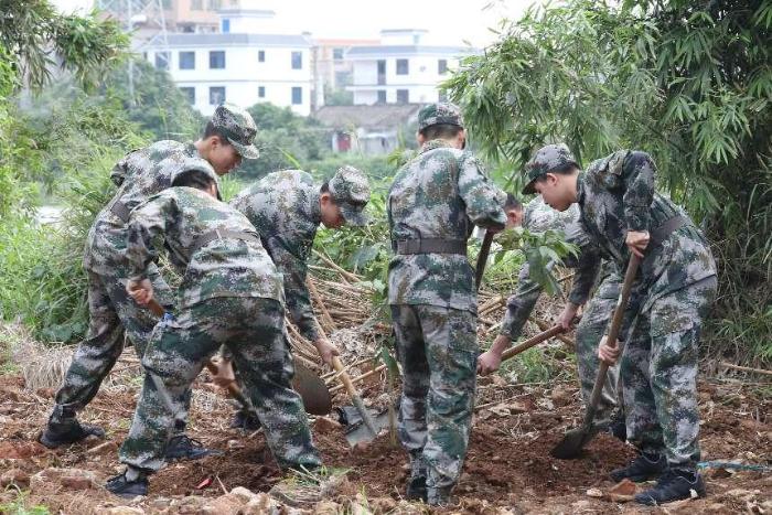 海南科技职业大学组织义务植树活动[图]