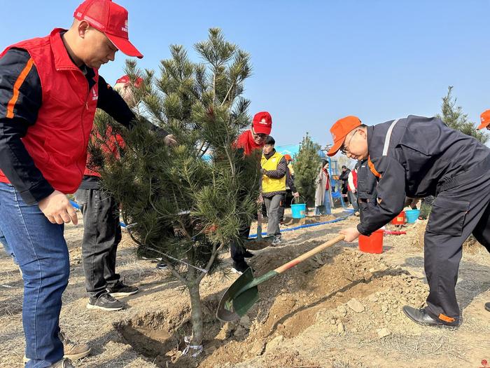 济南热力集团组织党员和团员青年开展义务植树活动