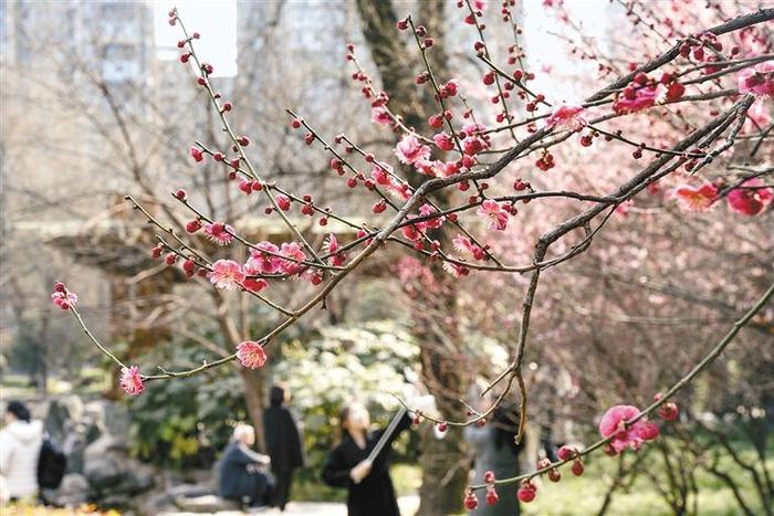 西安昨日温差超过17℃ 近期以多云到阴天气为主 最高温可升至20℃以上