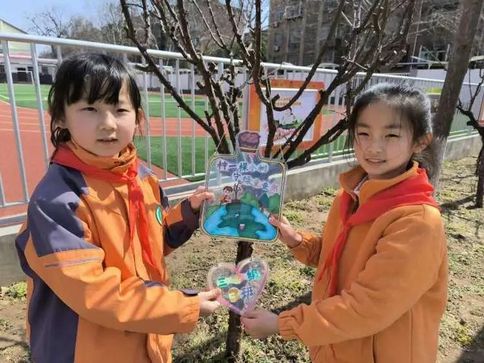 灞桥区庆华小学洪庆分校开展树木认养暨植物标牌设计活动