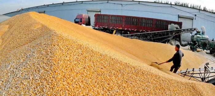 豆粕期价上涨超3%，后期走势如何？