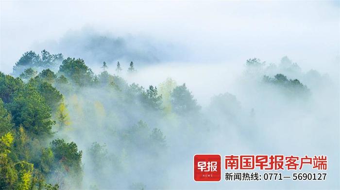 天青色等烟雨，漓江在等你！烟雨桂林宛若仙境