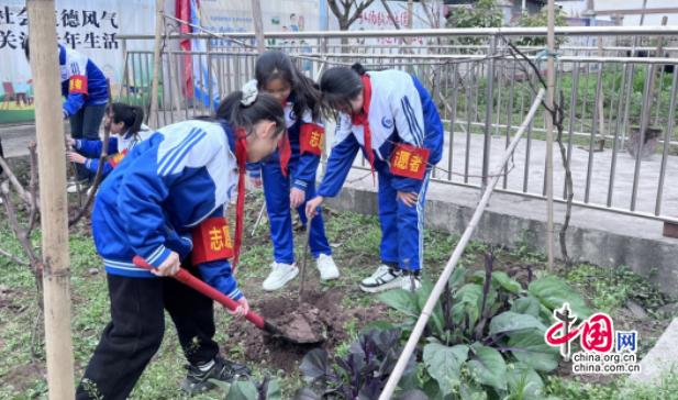 “植”一抹绿色，溢一片春光 邛崃各学校多举措开展植树节活动