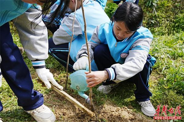 溶江中学开展“雷锋精神生生不息，植树造林你我先行”活动