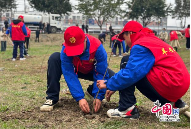 “植”一抹绿色，溢一片春光 邛崃各学校多举措开展植树节活动