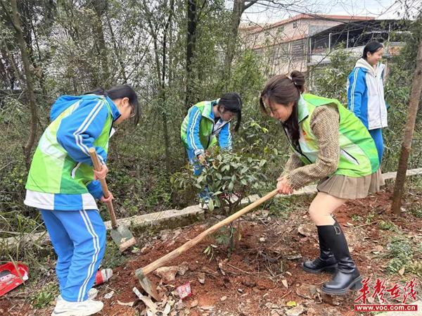 植此青绿 为春添色  钟水九年制学校参加2024年全民义务植树活动