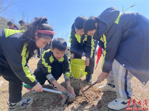 共植芙蓉树 与树共成长 江永县芙蓉学校开展“学雷锋”义务植树活动