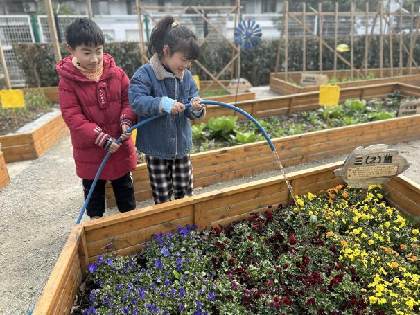 这个植树节，沧浪新城一实小师生为校园添绿