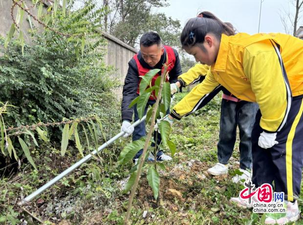 “植”一抹绿色，溢一片春光 邛崃各学校多举措开展植树节活动