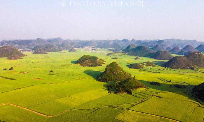 云南罗平，抓住油菜花的尾巴，没来的朋友明年再约吧