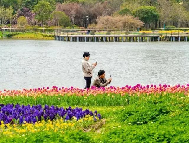 踏青郊游正当时，来庙镇这里解锁春日盛景