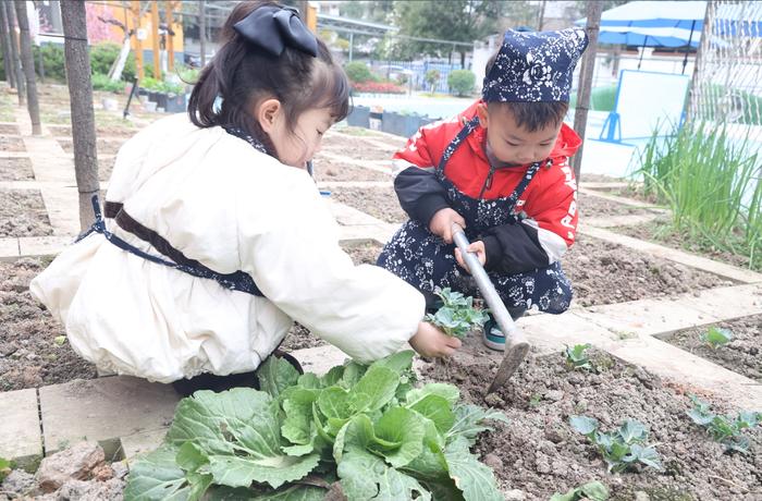 安州区桑枣镇幼儿园开展植树节活动