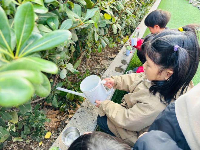 “万物春生 护绿先行”——瑞朗幼儿园开展植树节主题活动