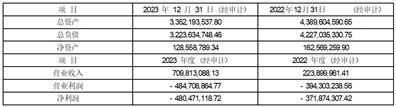 股票简称：山子股份    股票代码：000981    公告编号：2024-007