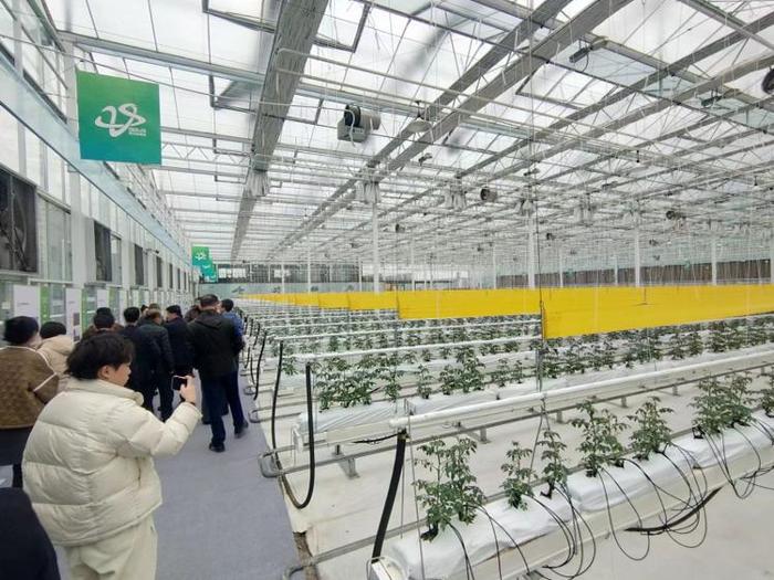 水资源只占全国1%，看山东如何做好节水控水的“水文章”