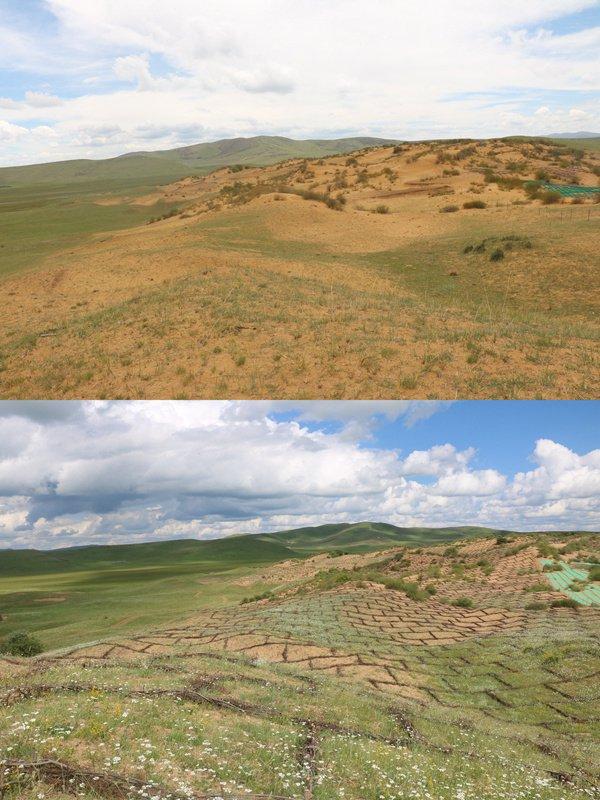 四川出台防沙治沙规划 2030年前治理完成84%的可治理沙化土地