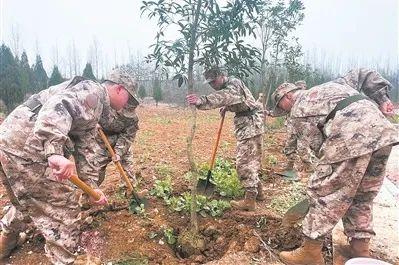 种下“从戎树” 坚定报国志——湖北省丹江口市人武部组织预定新兵开展植树活动