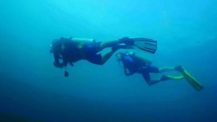 巴厘岛种珊瑚，可可西里拍动物，高原上造“海”…这位科学家，到底研究啥？