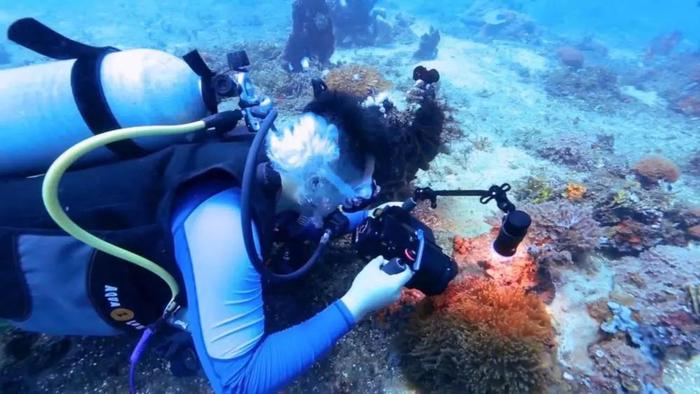 巴厘岛种珊瑚，可可西里拍动物，高原上造“海”…这位科学家，到底研究啥？