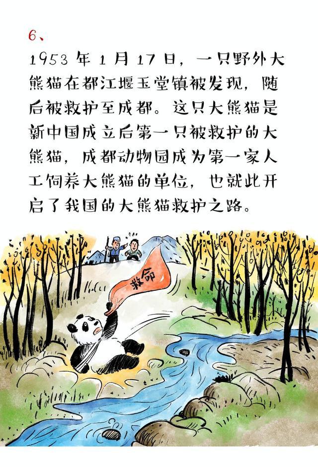 我在成都等你丨系列漫画阅读「18」熊猫基地，喜欢大熊猫的都想去