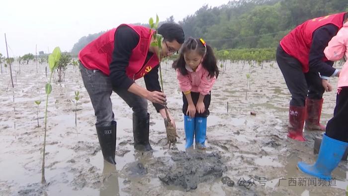 长在海上的树，种起来和岸上的树有什么不一样？