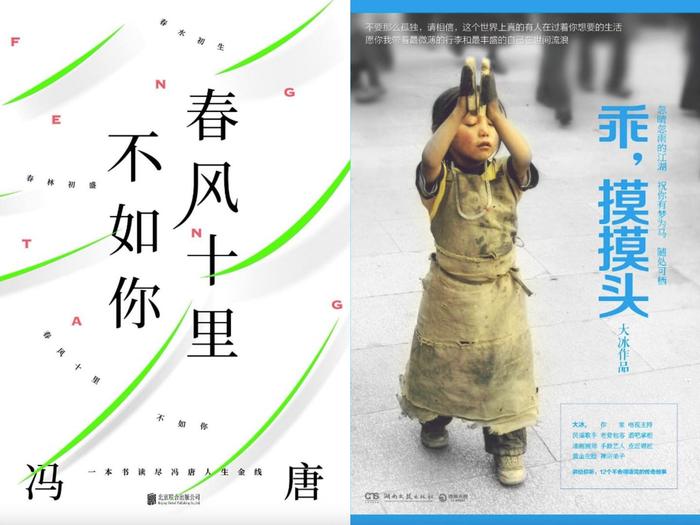 冯唐、大冰代表作之一
