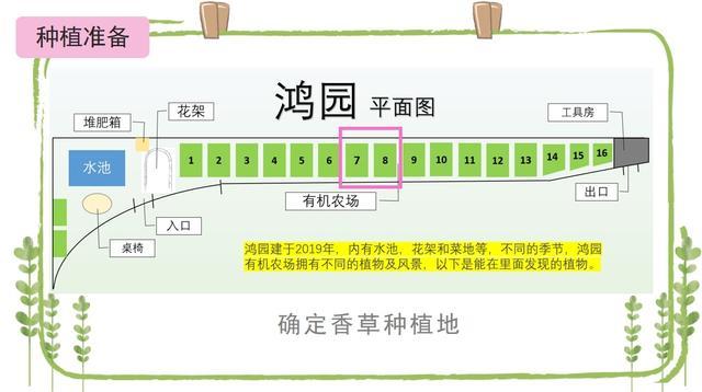 这所学校有块“田”，学生课余忙“春种”