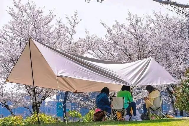 春日露营去哪里？青浦这几家宝藏露营地，速度收藏！