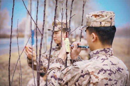 义务植树活动现场