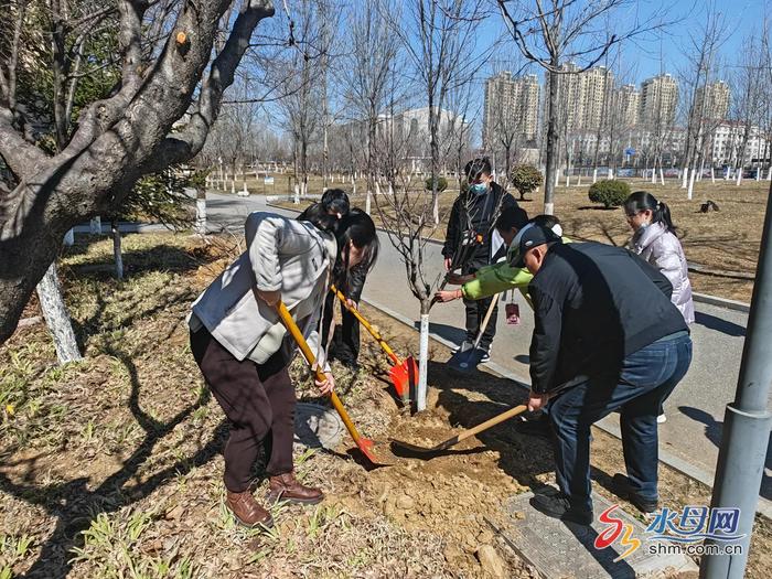 ​港中德育丨“植此青绿”烟台港城中学植树节主题实践活动