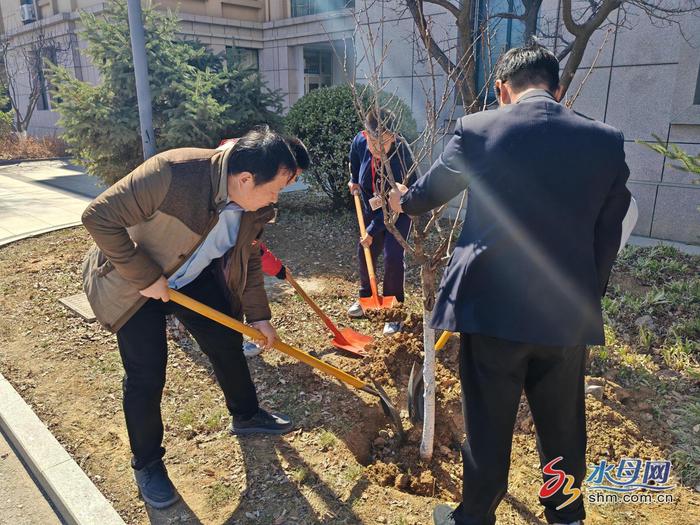 ​港中德育丨“植此青绿”烟台港城中学植树节主题实践活动