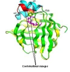 武汉大学生命科学学院宋保亮/罗婕/殷雷教授联手揭示一类新甾醇转运蛋白