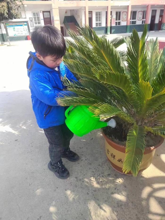 植初心 种未来 我和小树共成长 ——社旗县晋庄镇万营小学开展植树节主题教育活动