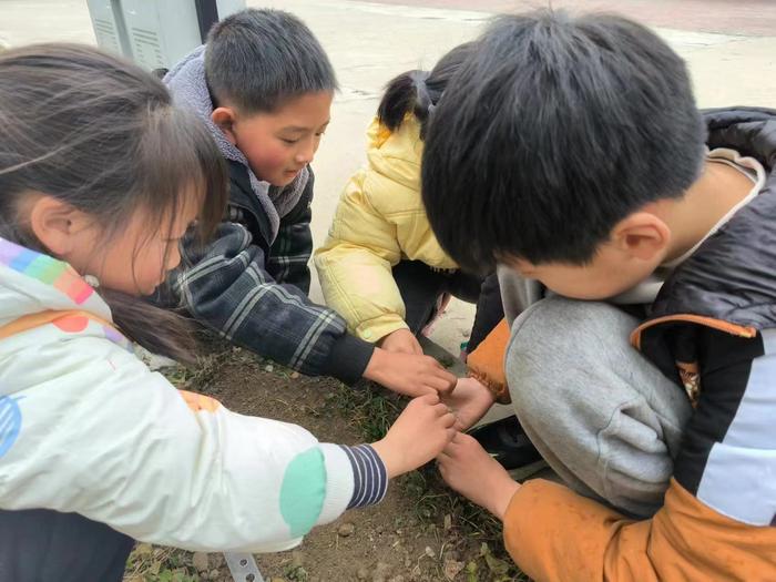 植初心 种未来 我和小树共成长 ——社旗县晋庄镇万营小学开展植树节主题教育活动