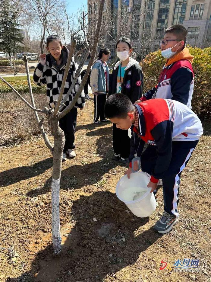 ​港中德育丨“植此青绿”烟台港城中学植树节主题实践活动