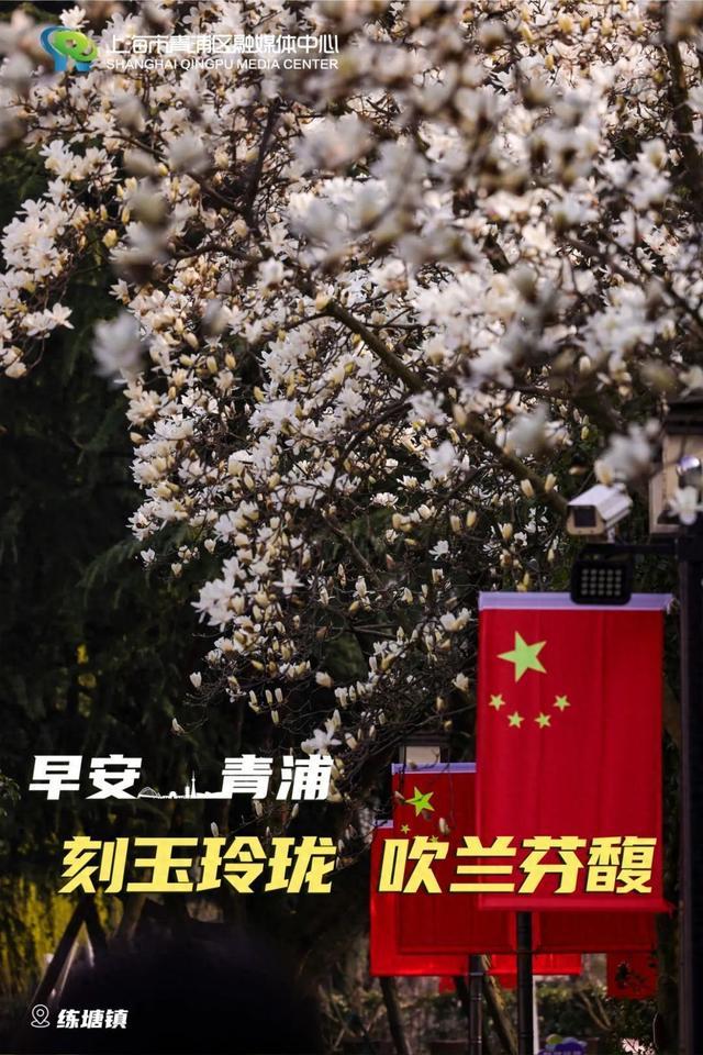 早安青浦丨刻玉玲珑，吹兰芬馥