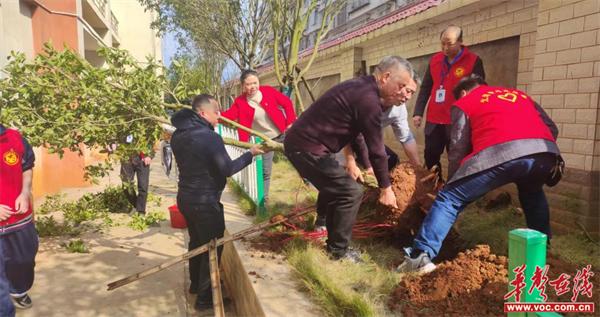 三月学雷锋 植树正当时 郴州市六中石盖塘学校开展植树节志愿活动