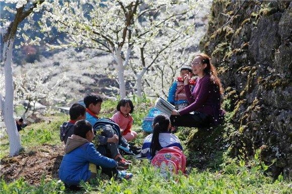 晚春有李|巫溪晚李主题公园本月20日开园 许你一场春日的浪漫