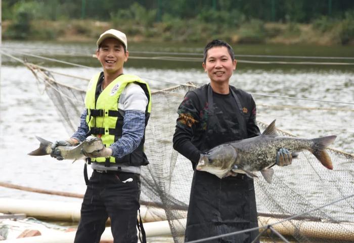 用山泉水养大的鱼，是什么味？鲜掉眉毛！