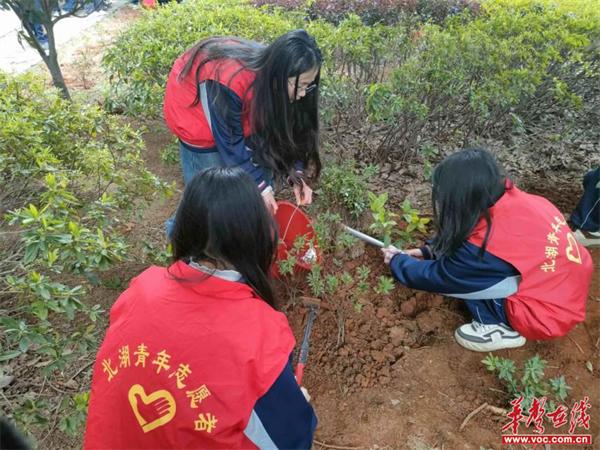 三月学雷锋 植树正当时 郴州市六中石盖塘学校开展植树节志愿活动